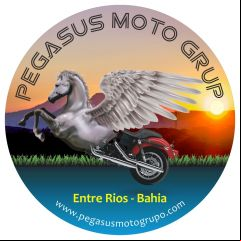 Pegasus Moto Grupo